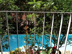 The Callista (D12), Apartment #503193271